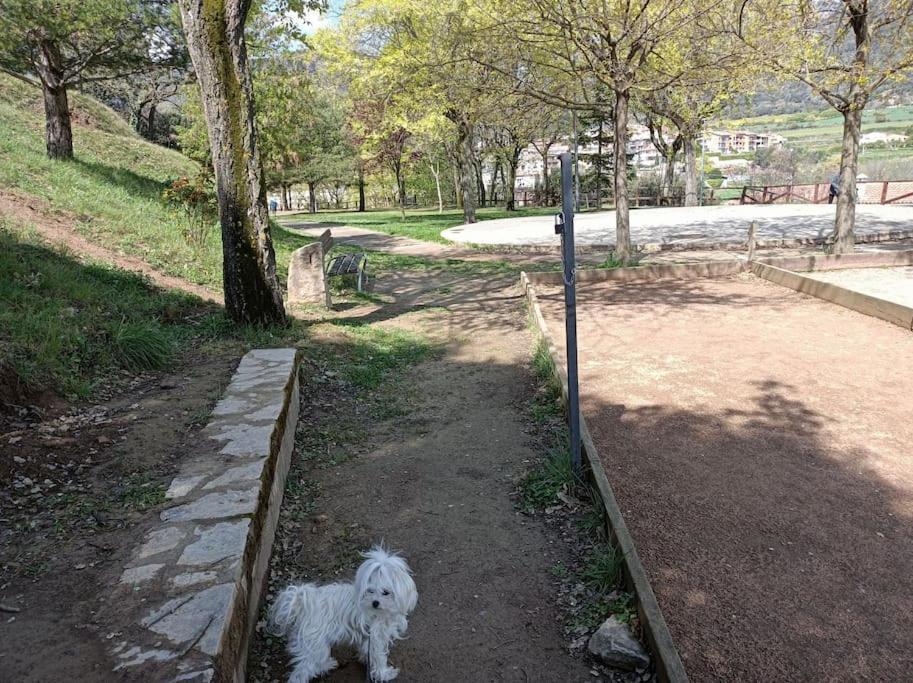 Apartamento El Niuet De Cal Cacuet, La Teva Escapada Rural. Aviá Exterior foto